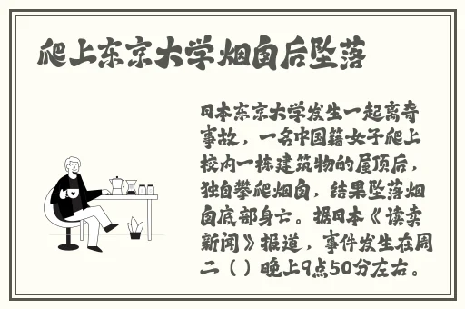 仓井空电影大全